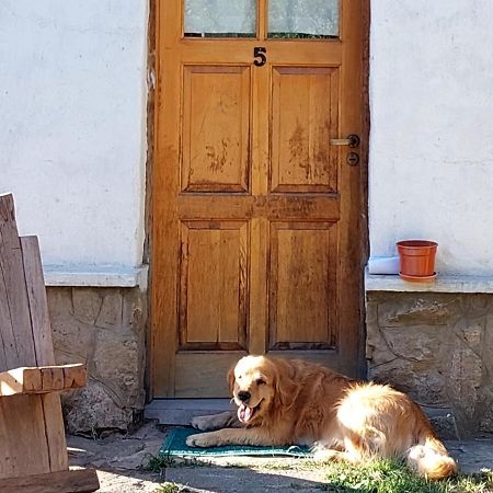 Buena Onda I Villa San Martín de los Andes Esterno foto