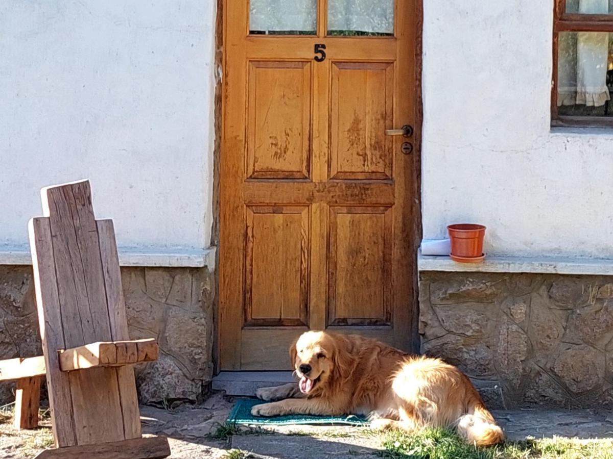 Buena Onda I Villa San Martín de los Andes Esterno foto